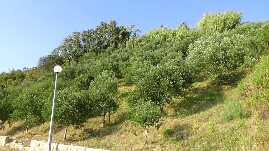 Apartments Cape Deluxe Rtina Εξωτερικό φωτογραφία